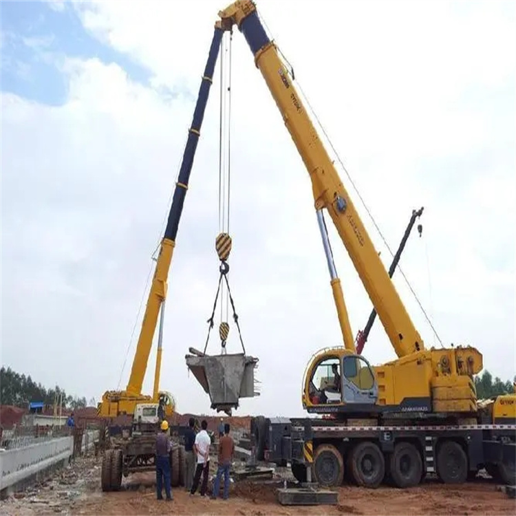 九合垸原种场小型吊机出租电话|厂房设备吊装方案|24小时服务覆盖