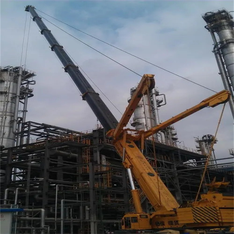 九合垸原种场吊板房的吊车